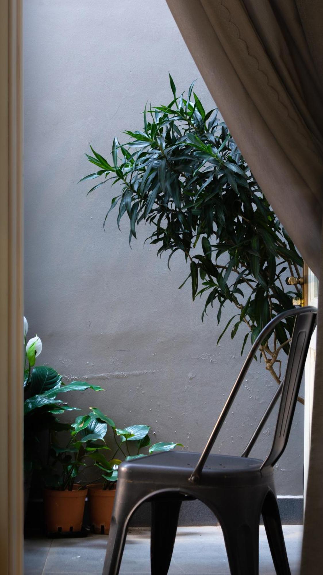 Le Soleil Boutique Hotel Νταλάτ Εξωτερικό φωτογραφία